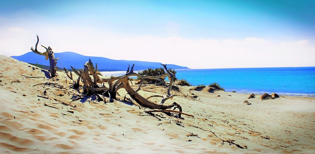 Dune di Porto Pino - Sardegna