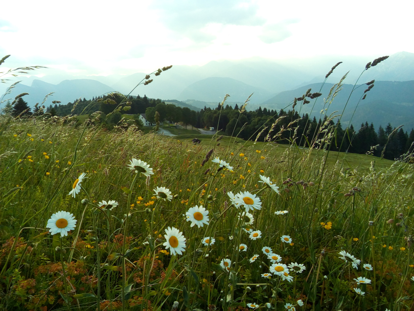 Cima Campo, Arsiè BL