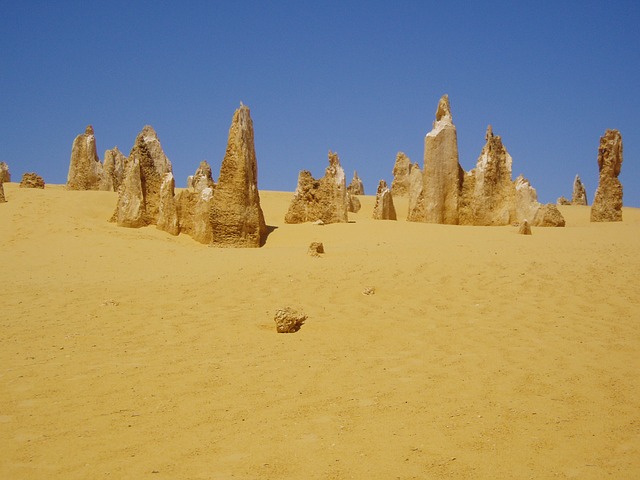 Australia-Pinnacles Desert